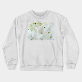 Gladiolus  'White Friendship' Crewneck Sweatshirt